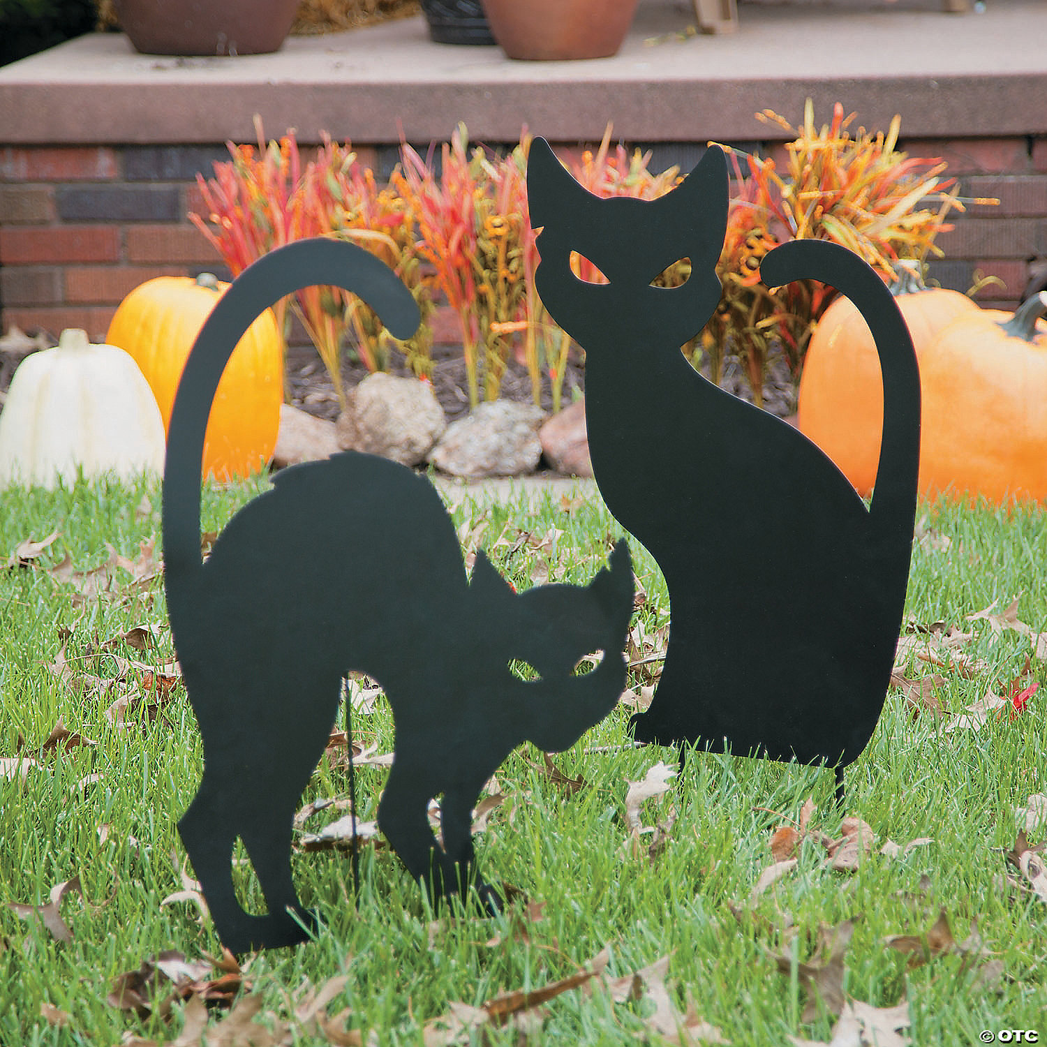 Pumpkin Black Cat Light-Up Halloween Decorations Home Decor 2 Pieces 