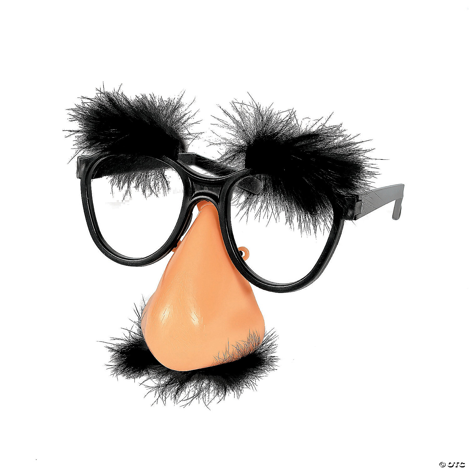 Silly Nose and Glasses | Oriental Trading