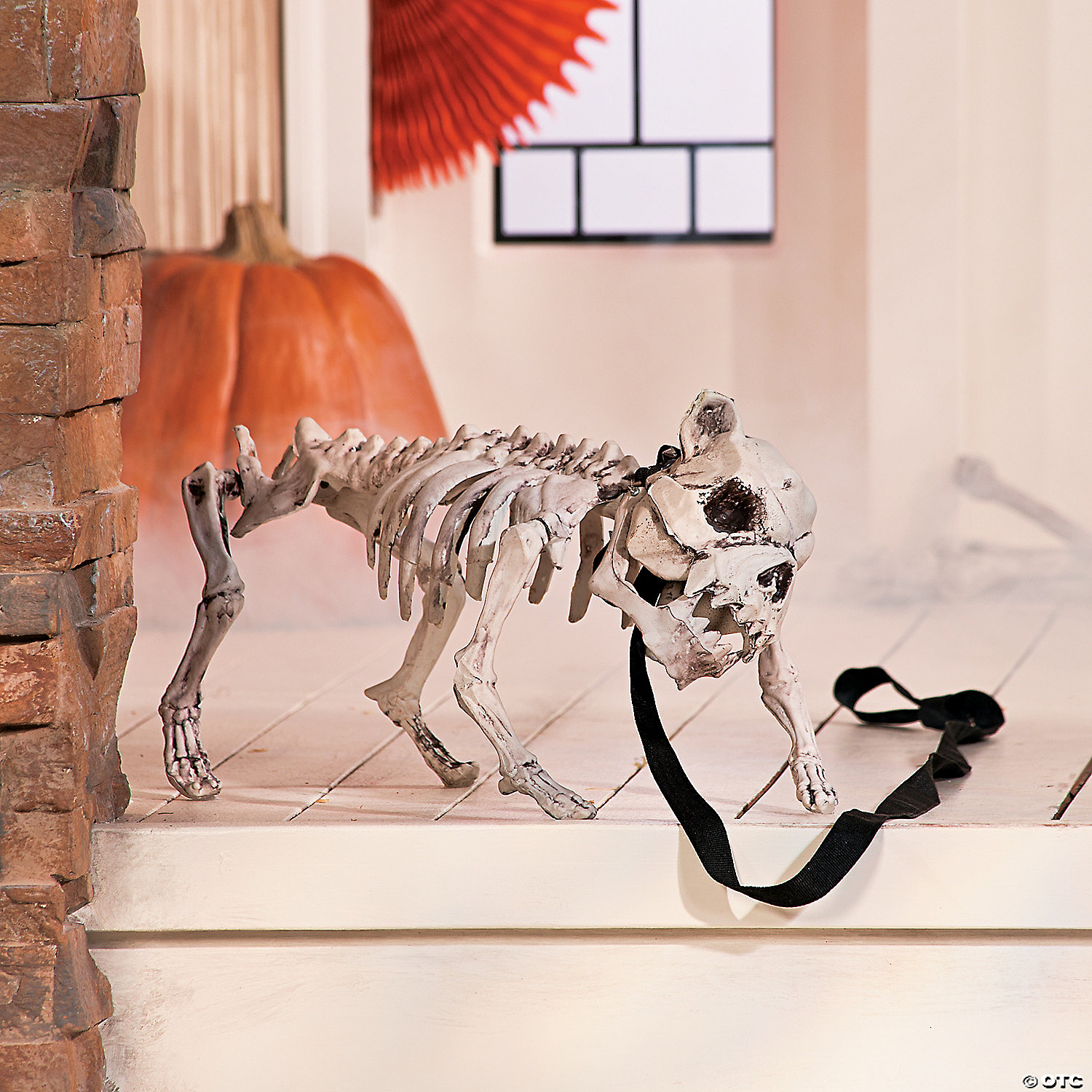 Dog Skeleton Halloween Decoration Best Decorations