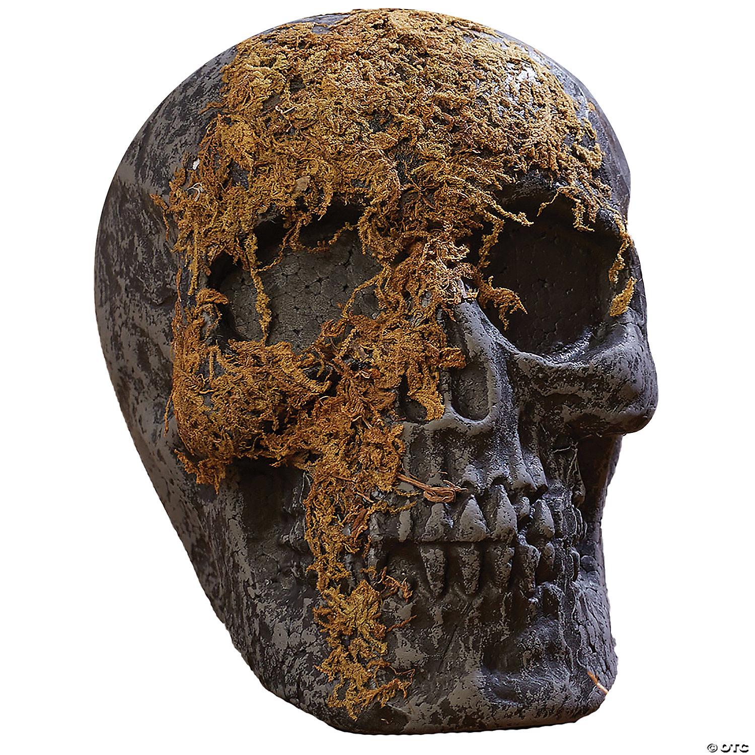 Decaying Moss Skull Mask for Adults main image 1