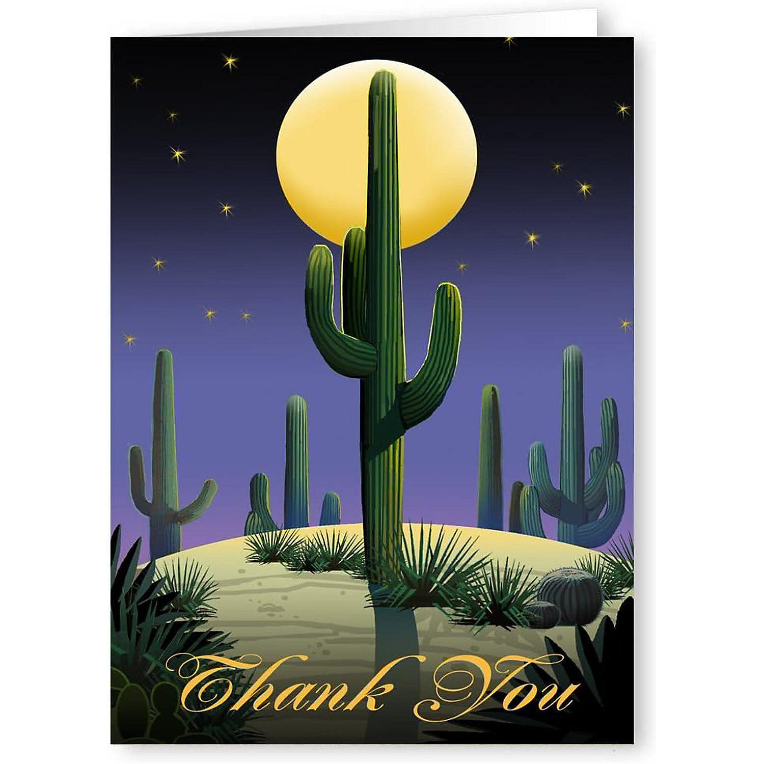 Stonehouse Collection Western Southwest Ranch Thank You 10 Cards and ...