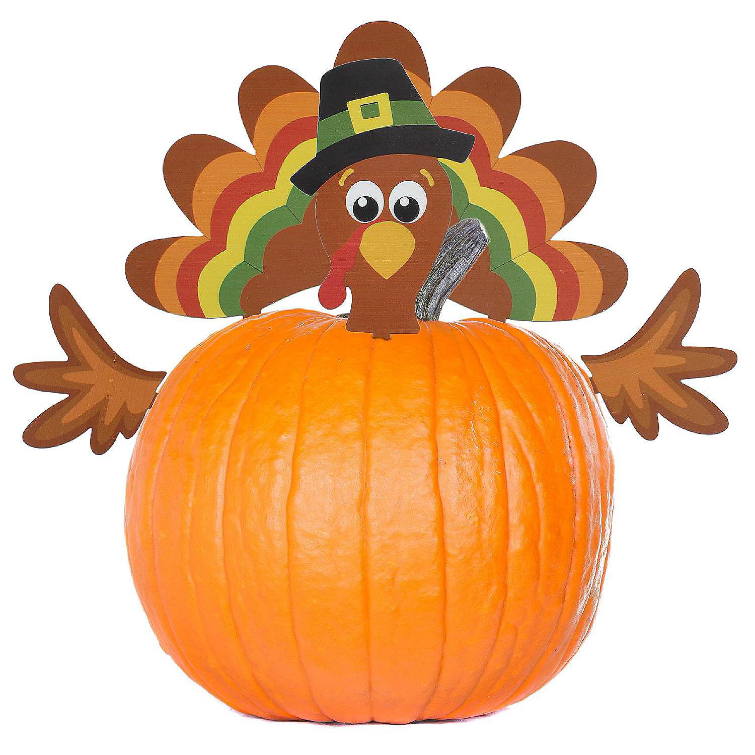Turkey Pumpkin Decorating Kit Set, 4 Reusable Metal Fall Decor