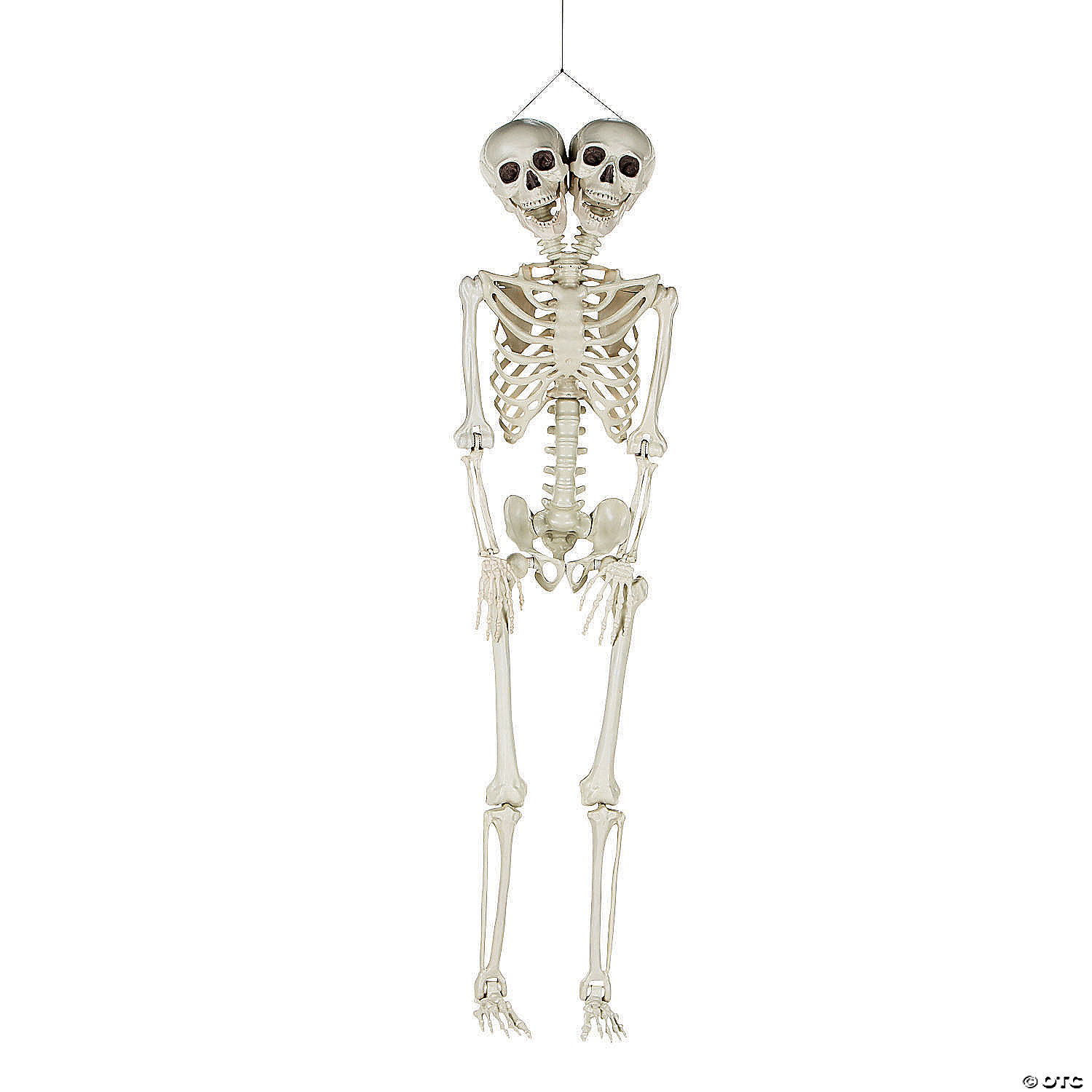 Werewolf Skeleton Poseable Prop Bones Lifesize Halloween Decoration 
