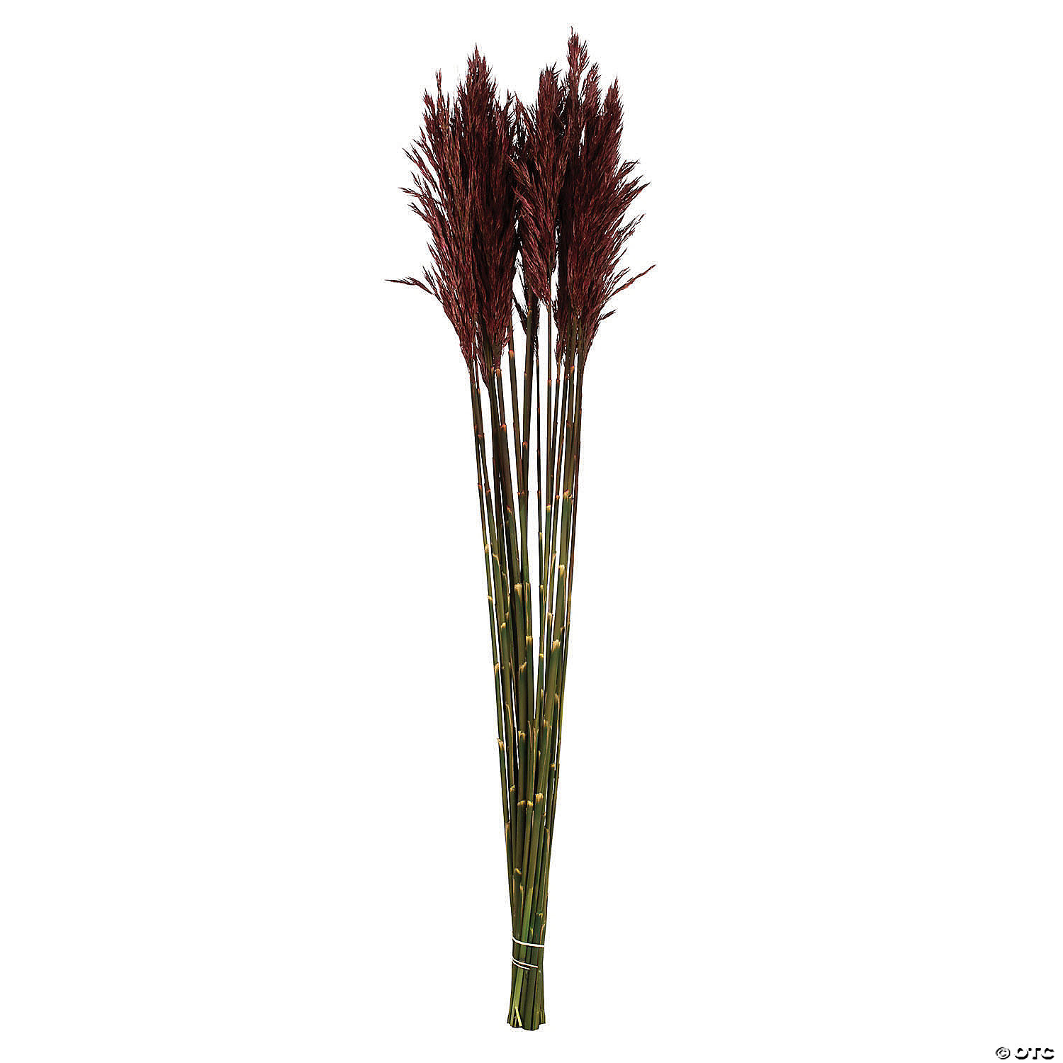 Vickerman 36" Merlot Plume Reed Plume Reed 2 Pack Bundle | Oriental Trading
