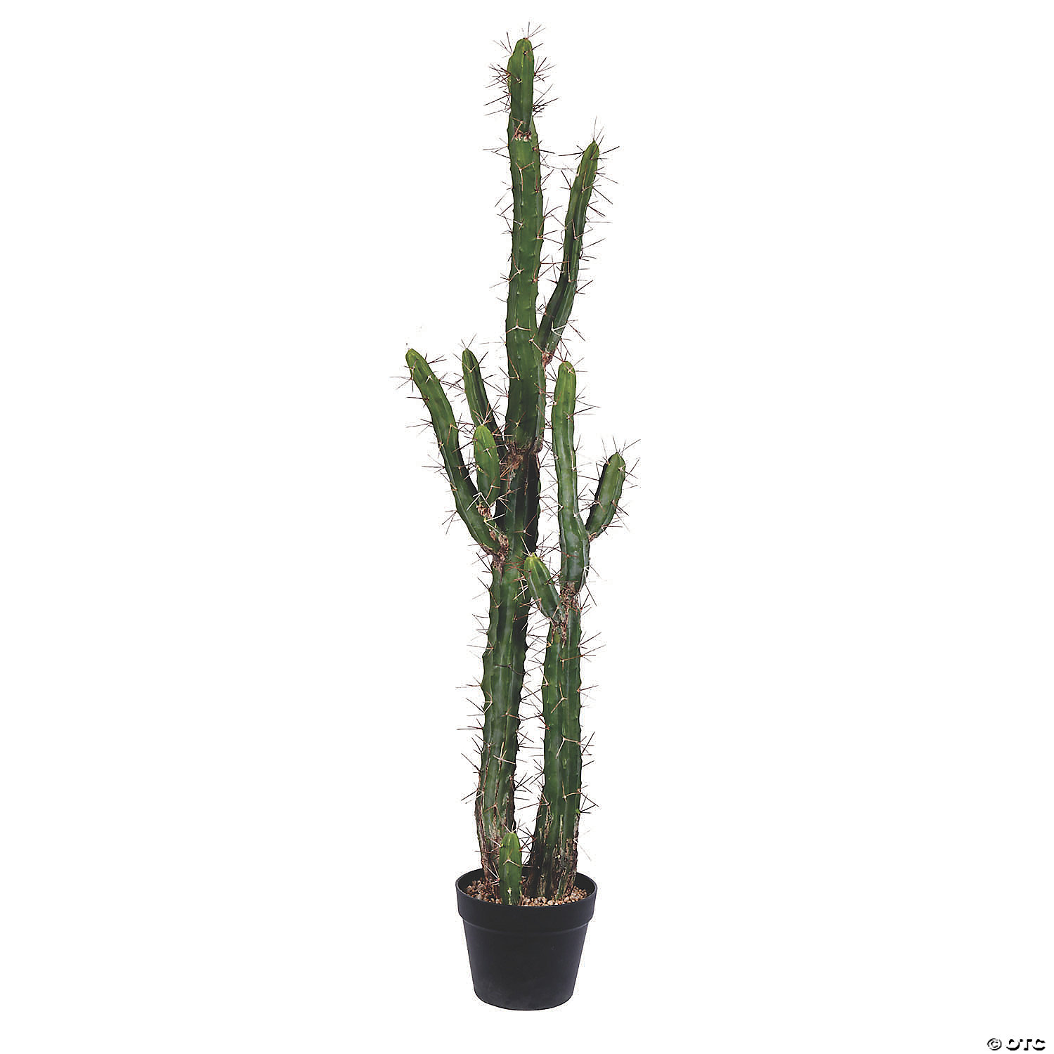 Vickerman 46 Green Cactus in Black Plastic Planters Pot