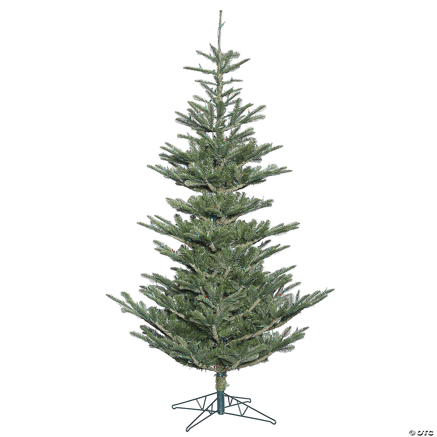 Vickerman 6 Alberta Spruce Artificial Christmas Tree Unlit Oriental Trading