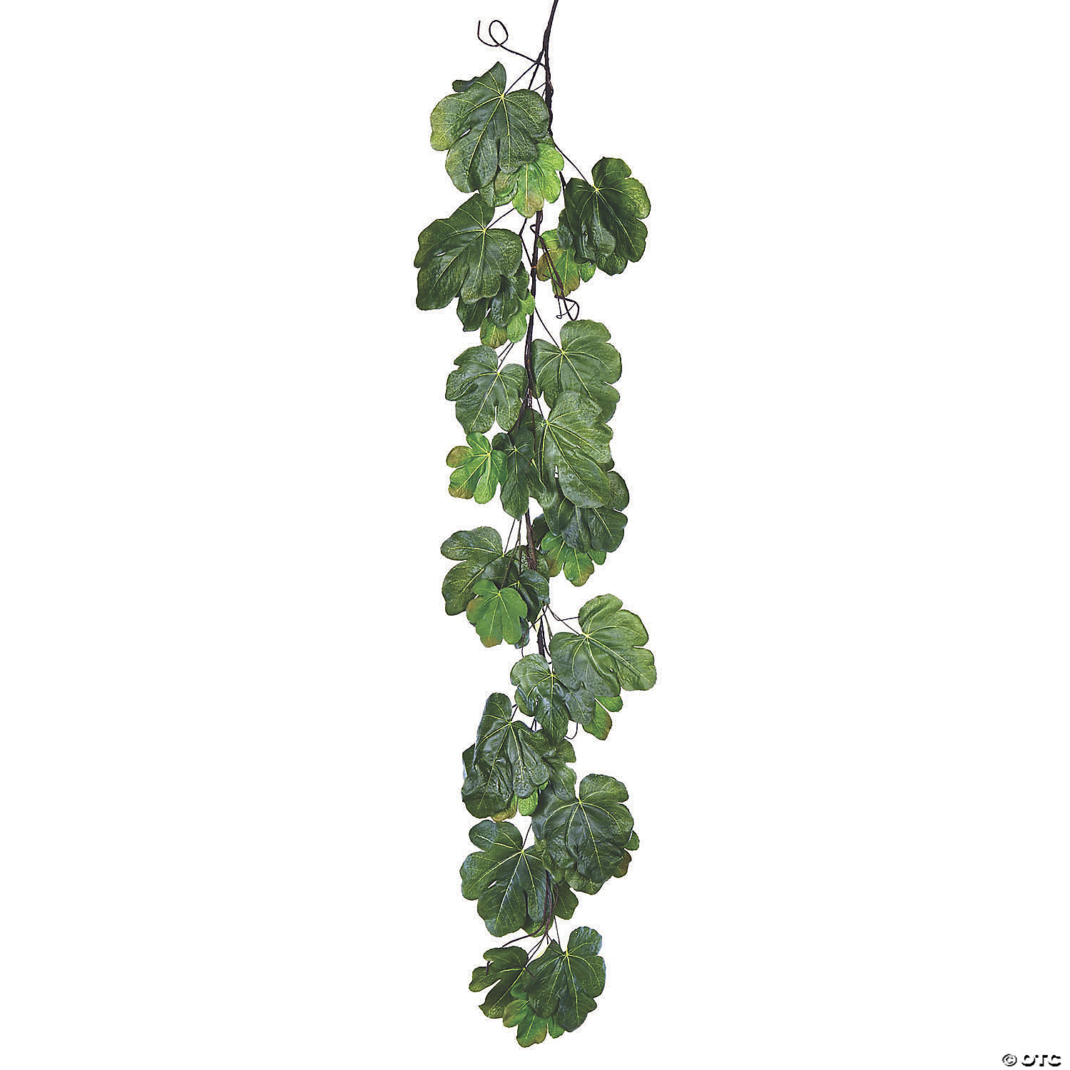 Vickerman 72" Green Fig Leaf Garland