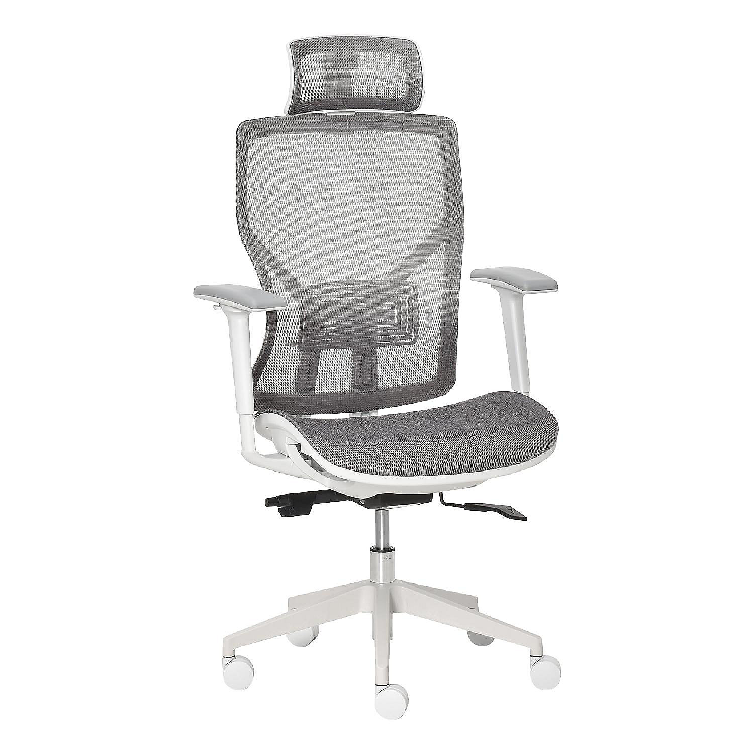 Ergonomic Office Chair with Adjustable Headrest  Lumbar Support, High Back  - www.kikizake.com