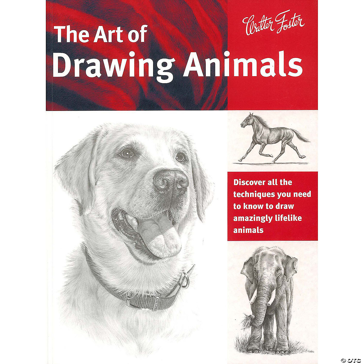 Walter Foster The Art of Drawing Animals Book | Oriental Trading