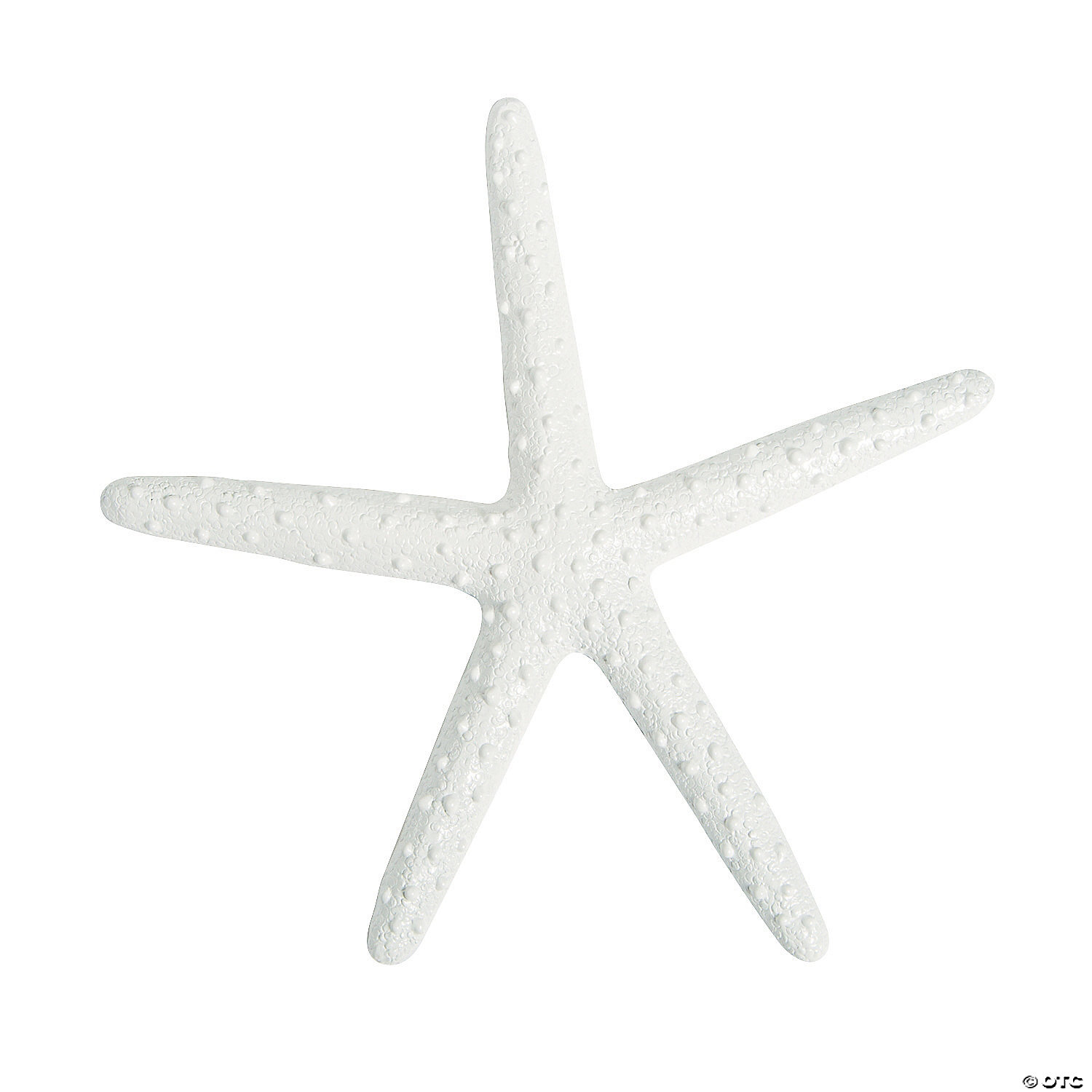 100  BEAUTIFUL WHITE STARFISH STAR FISH Wedding craft SHELLS Item# WSF3-5 100 