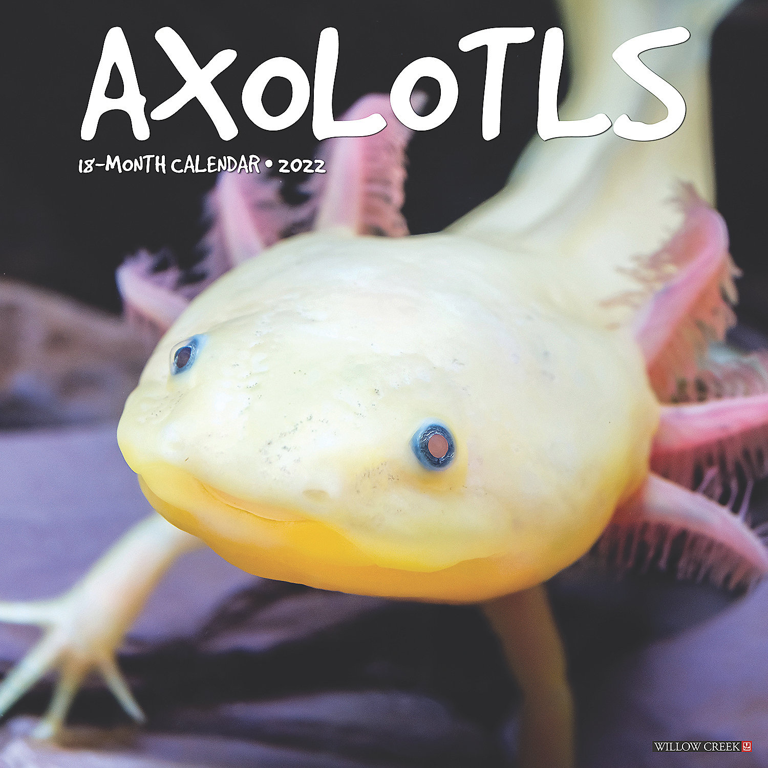 Axolotl pronounce