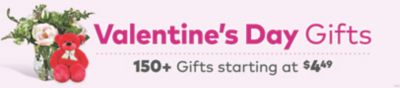 Valentine's Day Gifts - 150+ Gifts starting at $4.49