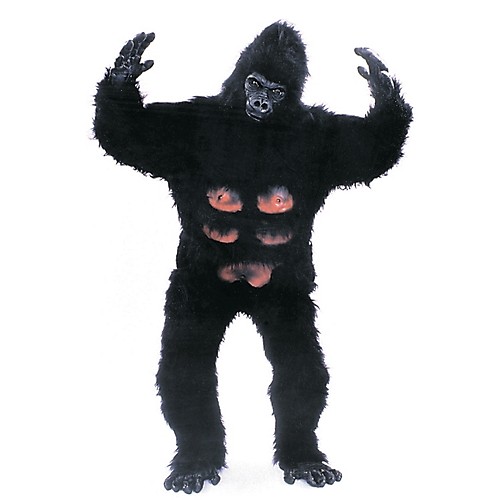 Featured Image for Professional Gorilla Costume