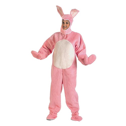 Featured Image for Child Bunny Suit with Hood