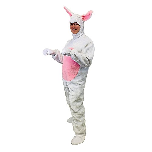 Featured Image for Adult Bunny Suit with Hood – Medium