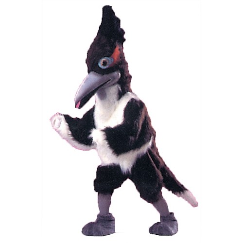Featured Image for Roadrunner Mascot