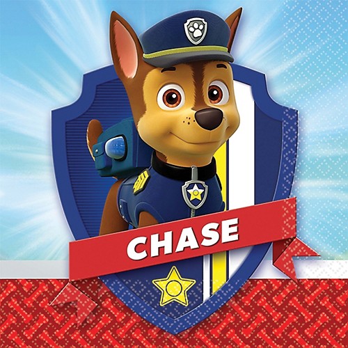 Featured Image for 5″ PAW Patrol Bev Napkins – Pack of 16