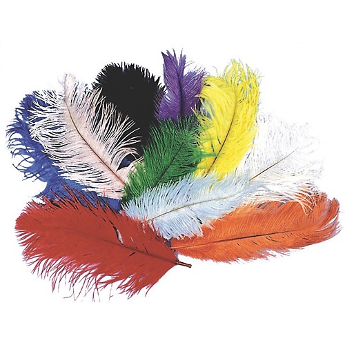 Featured Image for 12″- 16″ Ostrich Plume