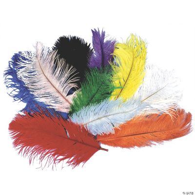 Featured Image for 12″- 16″ Ostrich Plume