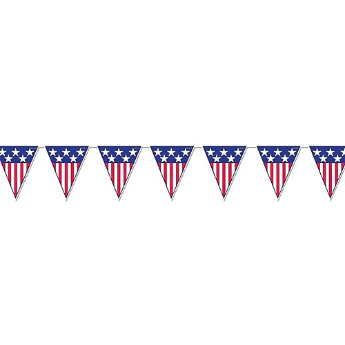 Featured Image for Spirit of America Pennant Bann