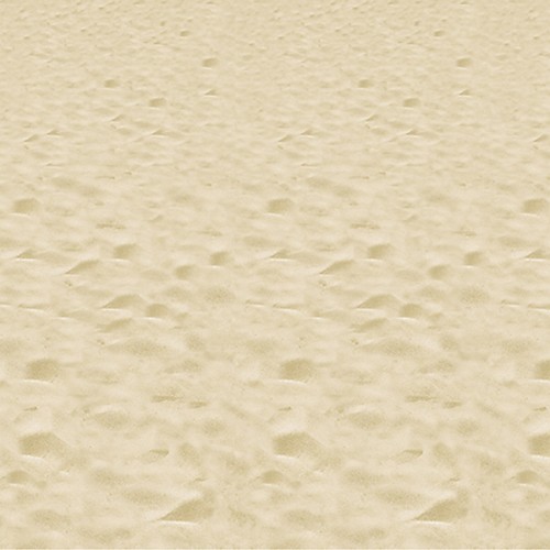 Featured Image for 4′ X 30′ Beach Backdrop