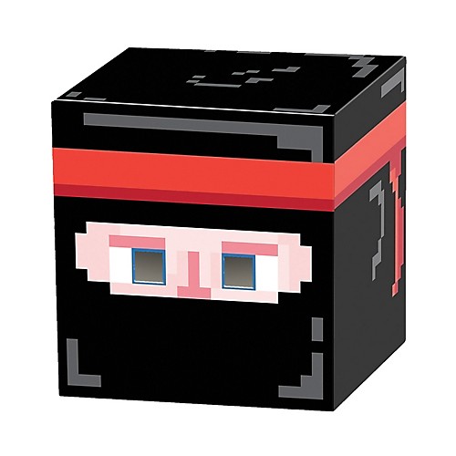 Featured Image for Ninja 8-Bit Box Head