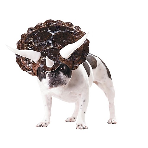 Featured Image for Triceratops Dog Costume