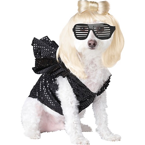 Featured Image for Pop Sensation Dog Costume