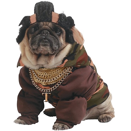 Featured Image for Pity the Bull Dog Costume