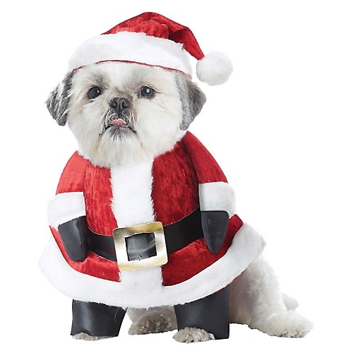 Featured Image for Santa Paws Dog Costume