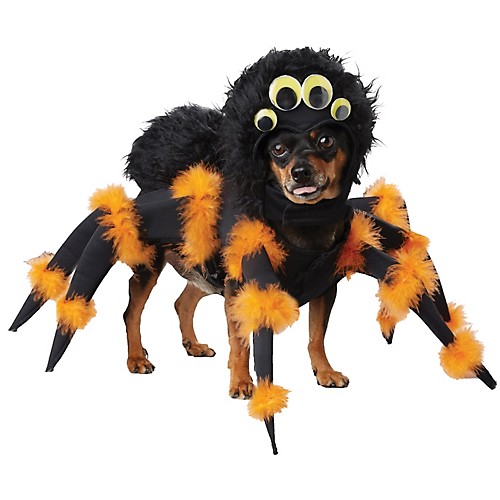 Featured Image for Spider Pup Dog Costume