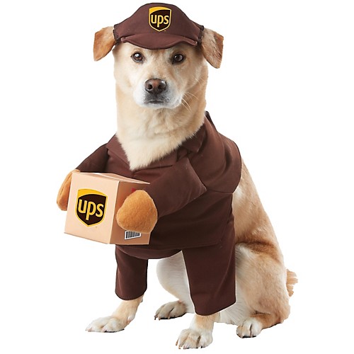 Featured Image for UPS Pal Dog Costume