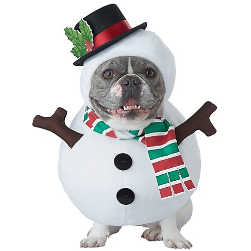 Featured Image for Snowman Dog Costume