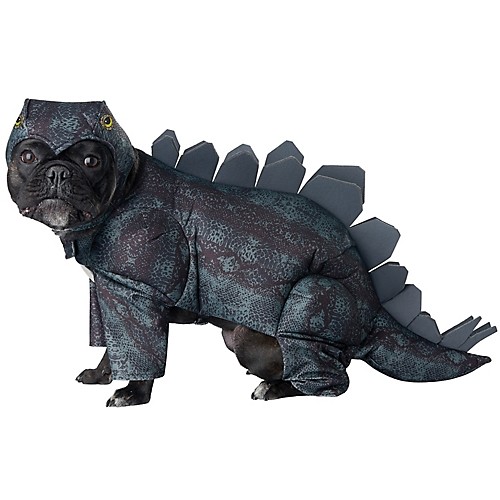 Featured Image for Stegosaurus Dog Costume