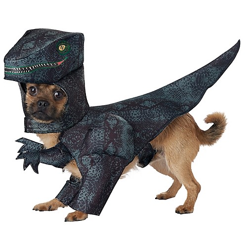 Featured Image for Pupasaurus Rex Dog Costume