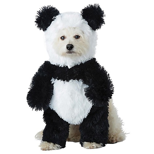 Featured Image for Panda Pouch Dog Costume