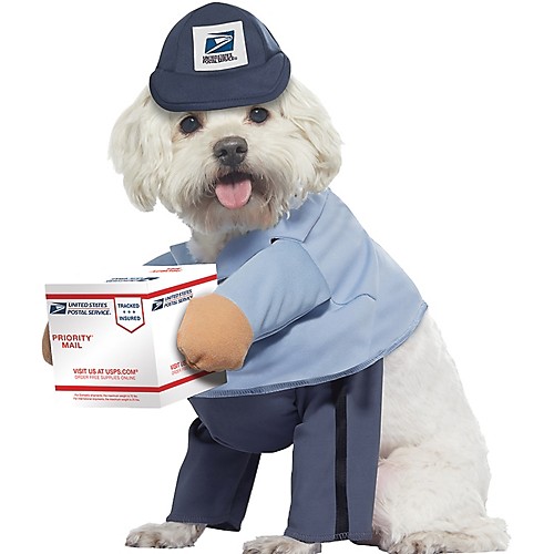 Featured Image for US Mail Carrier Dog Costume