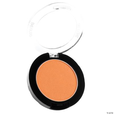 Featured Image for Intense Pro Pressed Powder Pigments