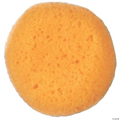 Featured Image for Sponge Cosmetic
