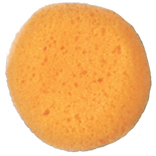 Featured Image for Sponge Cosmetic