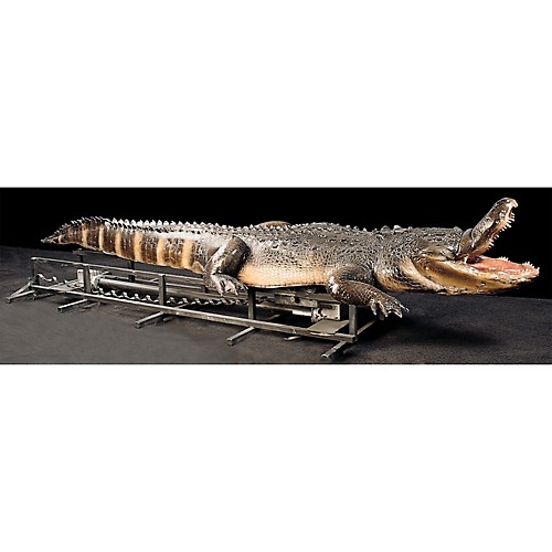 Featured Image for Attack Alligator