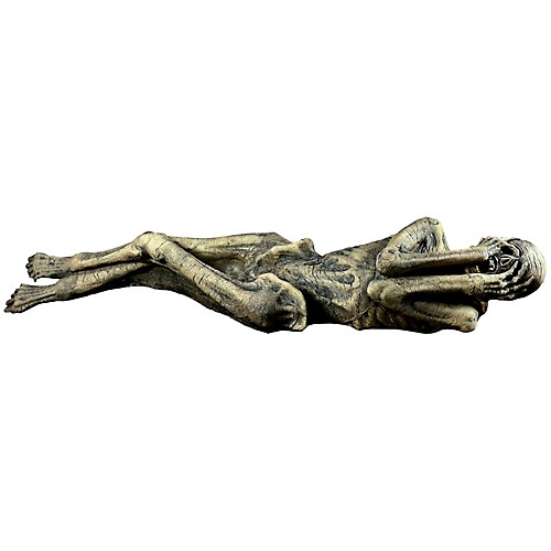 Featured Image for Ancient Mummy Prop