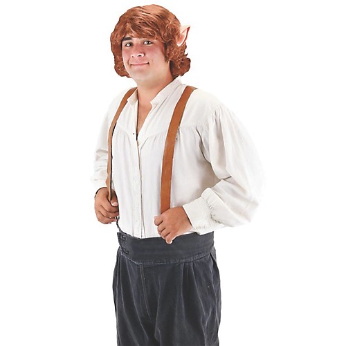 Featured Image for Men’s Bilbo Baggins Wig with Ears