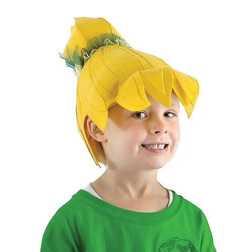 Featured Image for Tinkerbell Wig