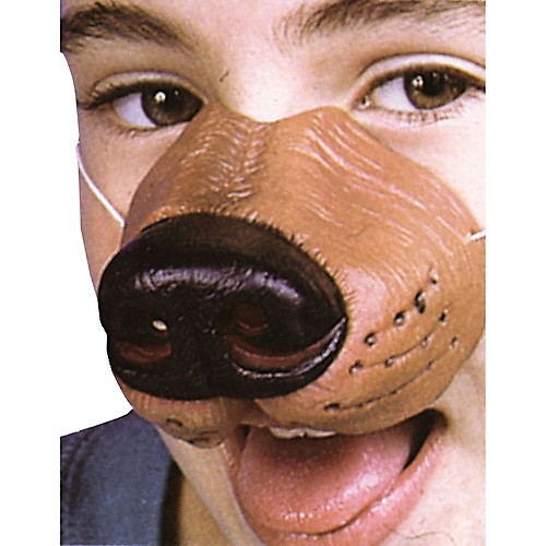 Featured Image for Dog Nose with Elastic Band