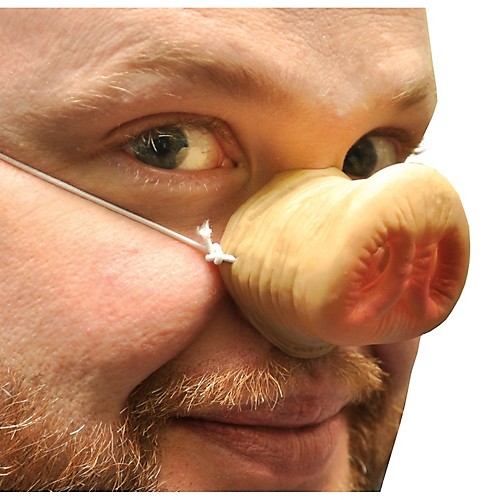 Featured Image for Nose Pig with Elastic