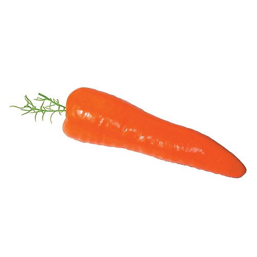 Featured Image for 5″ Carrot Foam