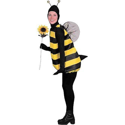 Featured Image for Women’s Bumblebee Costume