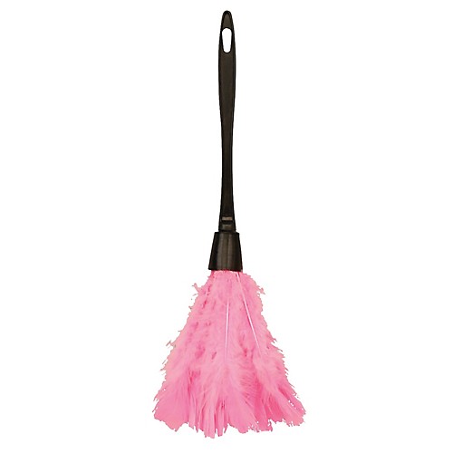 Featured Image for Feather Duster Pink
