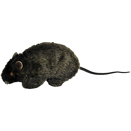 Featured Image for 6-Inch Furry Rat